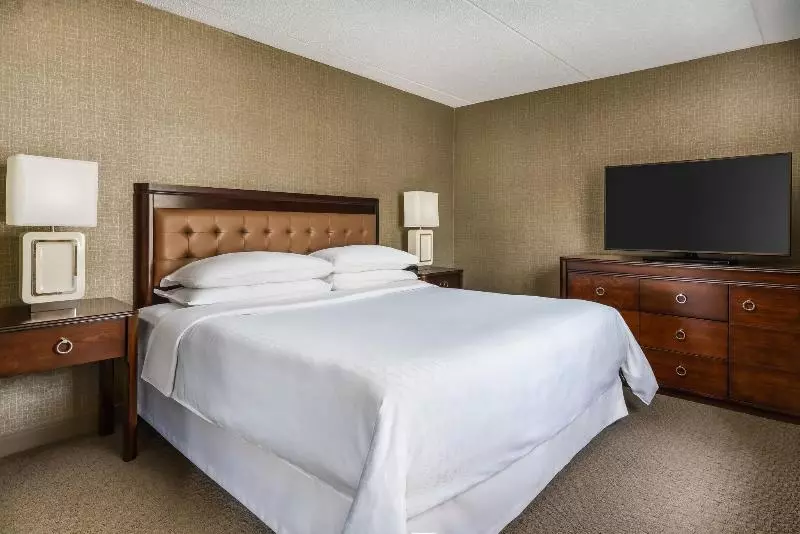 キングサイズベッドのスタンダードルーム, Sheraton Great Valley