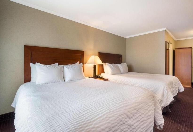 غرفه قياسيه سريرين مزدوجين, Best Western Plus Norwester Hotel & Conference Centre