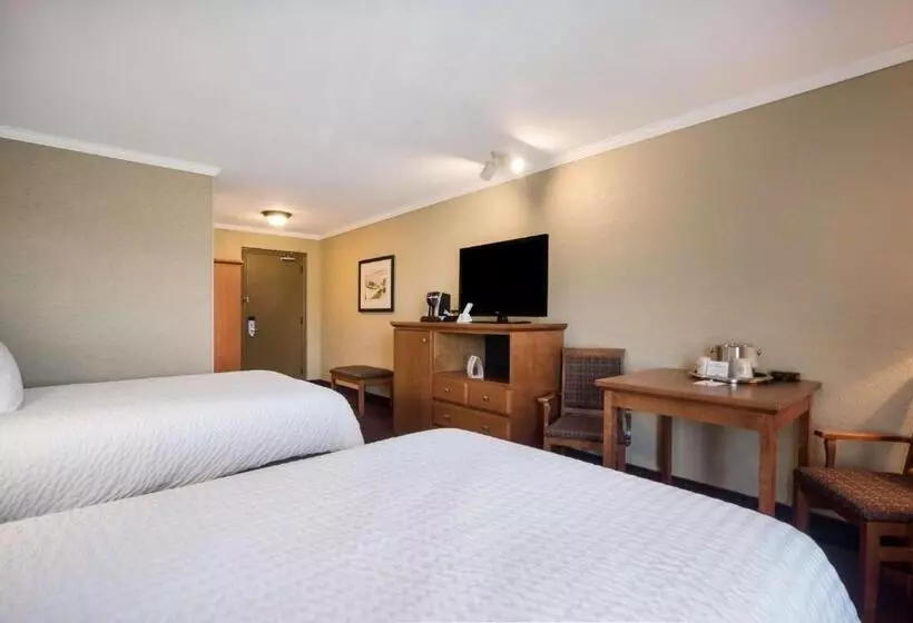 اتاق استاندارد با 2 تخت دوبل, Best Western Plus Norwester Hotel & Conference Centre