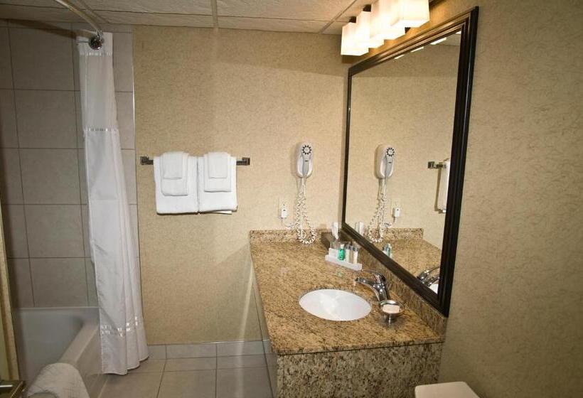 Люкс, Best Western Plus Norwester Hotel & Conference Centre