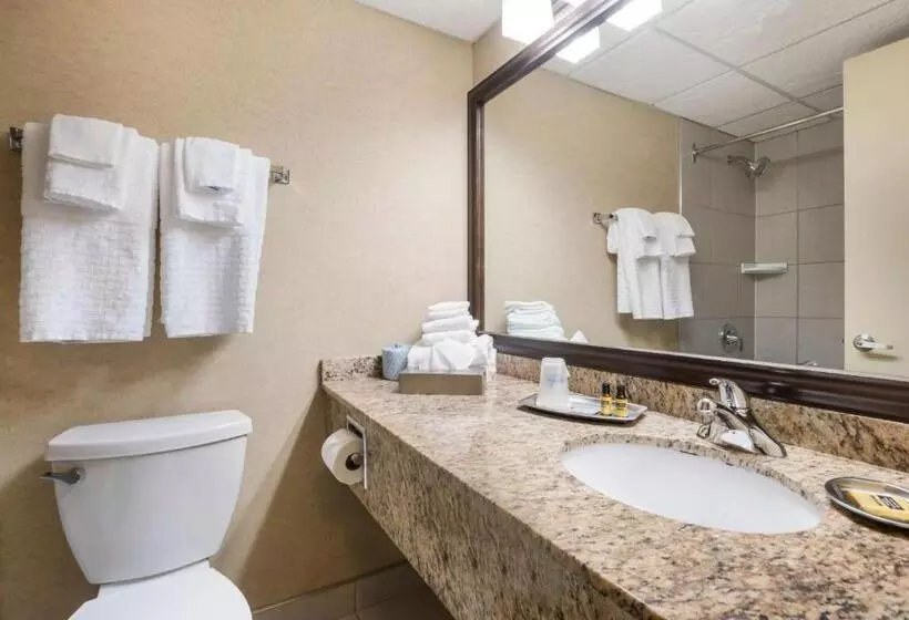 اتاق کلاس بیزنس, Best Western Plus Norwester Hotel & Conference Centre