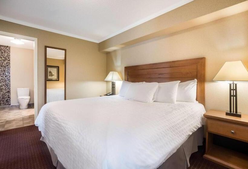 جناح سرير كينج, Best Western Plus Norwester Hotel & Conference Centre