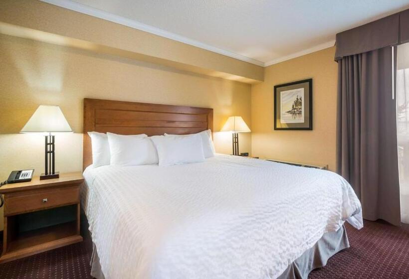 Люкс Кровать Кинг, Best Western Plus Norwester Hotel & Conference Centre