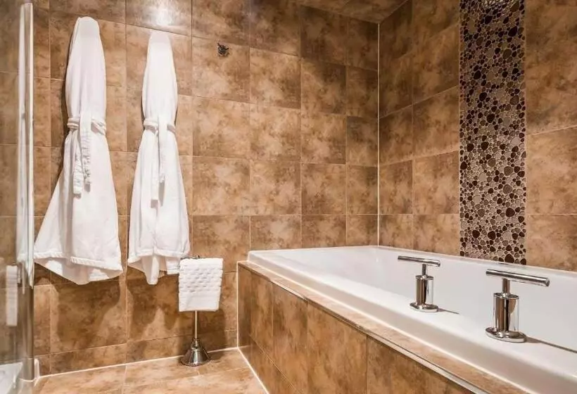 سوئیت با تخت بزرگ, Best Western Plus Norwester Hotel & Conference Centre
