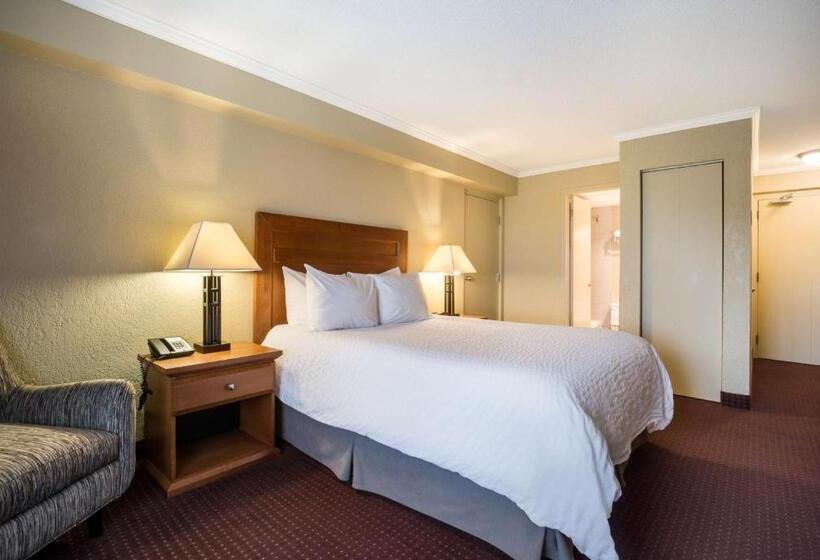 Номер Стандарт, Best Western Plus Norwester Hotel & Conference Centre