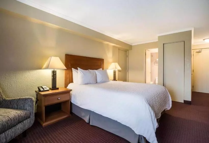 اتاق استاندارد, Best Western Plus Norwester Hotel & Conference Centre