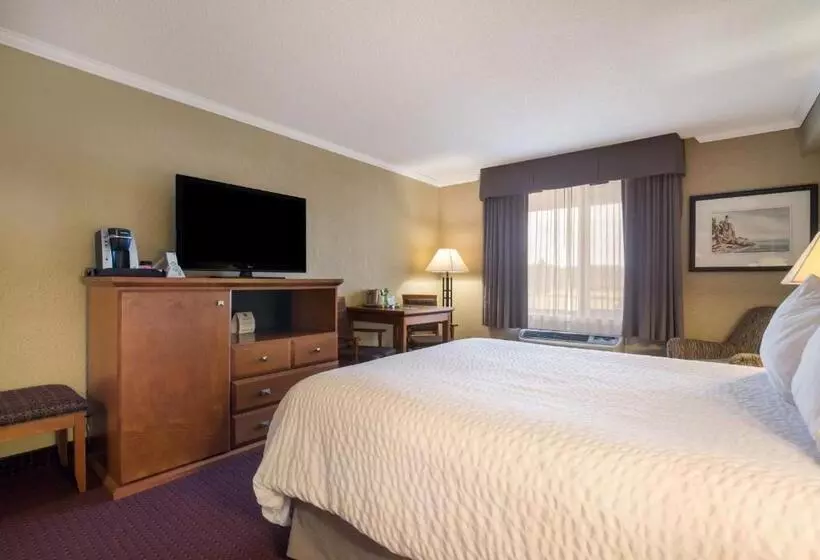 اتاق استاندارد, Best Western Plus Norwester Hotel & Conference Centre