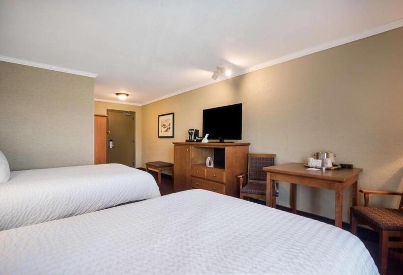 غرفة قياسية, Best Western Plus Norwester Hotel & Conference Centre