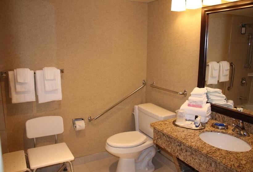 غرفة قياسية لذوى الاحتياجات الخاصة, Best Western Plus Norwester Hotel & Conference Centre