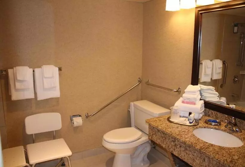 اتاق استاندارد برای معلولان, Best Western Plus Norwester Hotel & Conference Centre