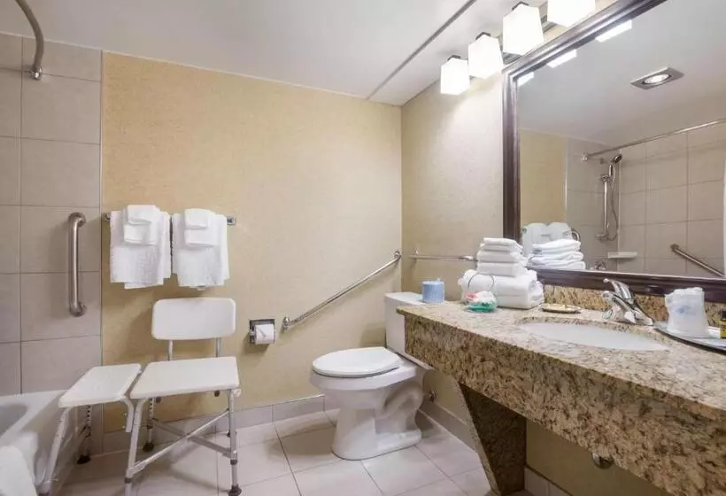 اتاق استاندارد برای معلولان, Best Western Plus Norwester Hotel & Conference Centre