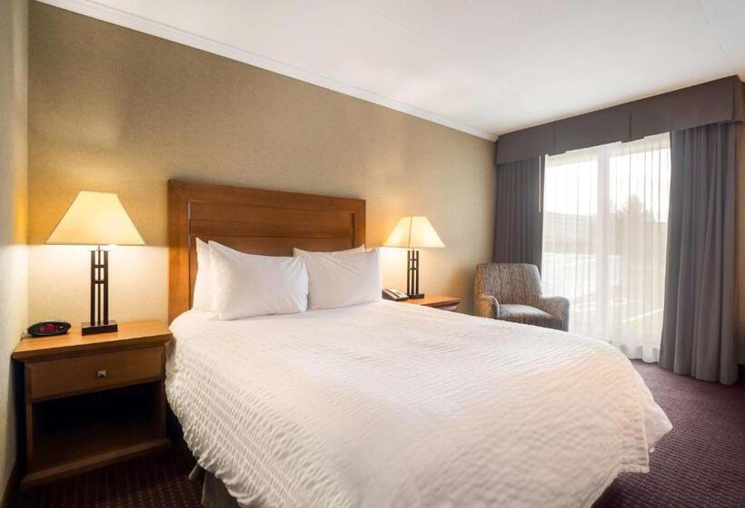 غرفة قياسية لذوى الاحتياجات الخاصة, Best Western Plus Norwester Hotel & Conference Centre