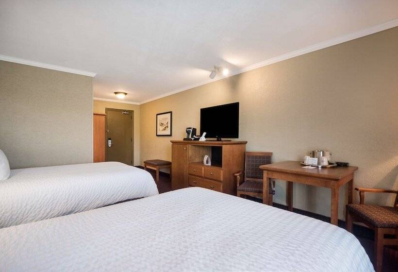 غرفه قياسيه سريرين مزدوجين, Best Western Plus Norwester Hotel & Conference Centre