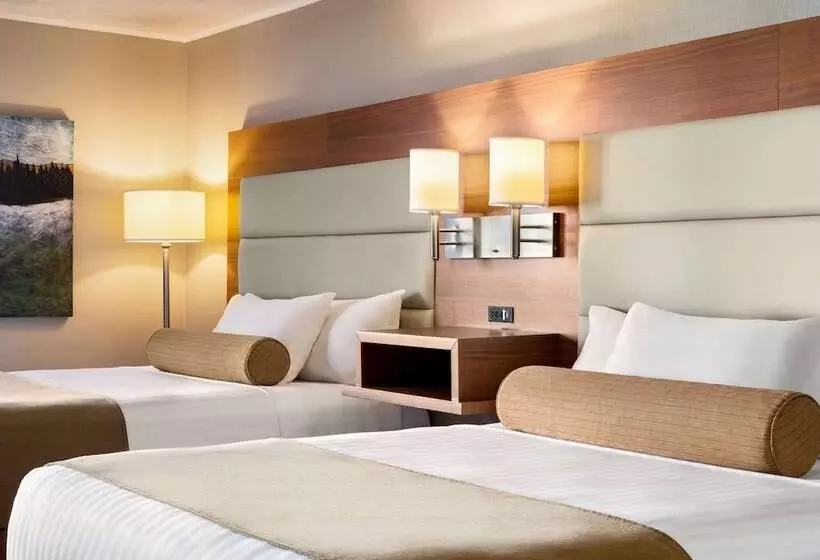 ２ダブルベッドのスタンダードルーム, Atlantic Host Hotel, Trademark Collection By Wyndham