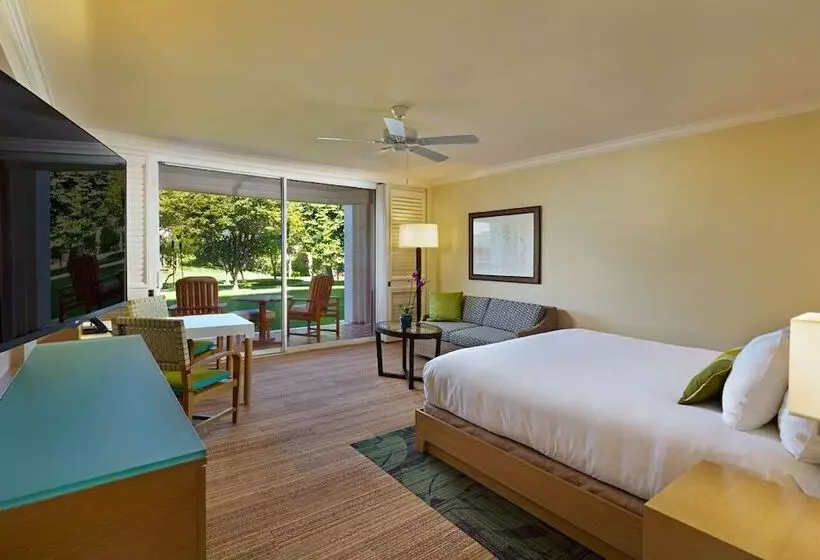 景色の見えるダブルベッドスタンダードルーム, Grand Wailea Maui, A Waldorf Astoria Resort