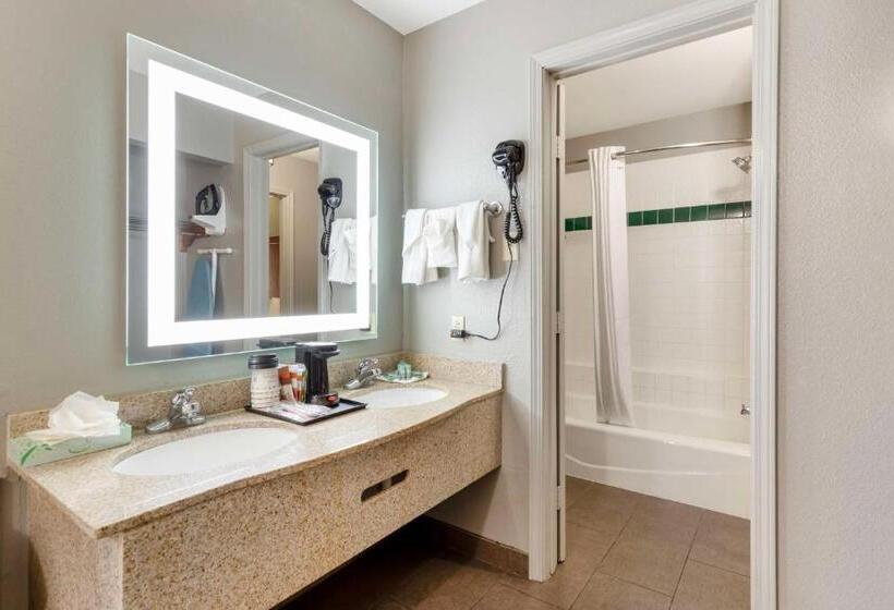 Family Suite, Best Western Near Lackland Afb Sea World