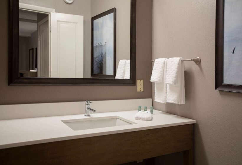 带2个双人床的标准工作室, Best Western Savannah Historic District