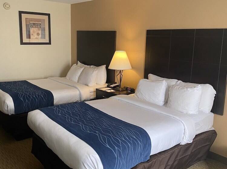 带2个双人床的标准工作室, Comfort Inn Oak Ridge  Knoxville