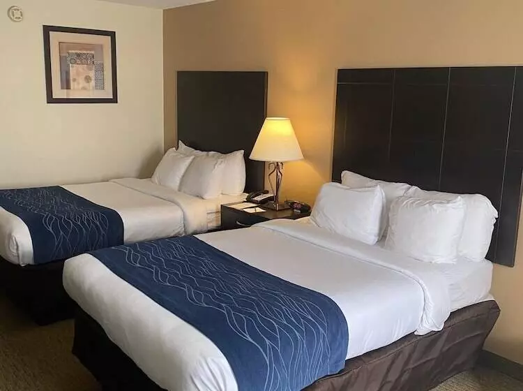 ２ダブルベッドのスタンダードルーム, Comfort Inn Oak Ridge  Knoxville