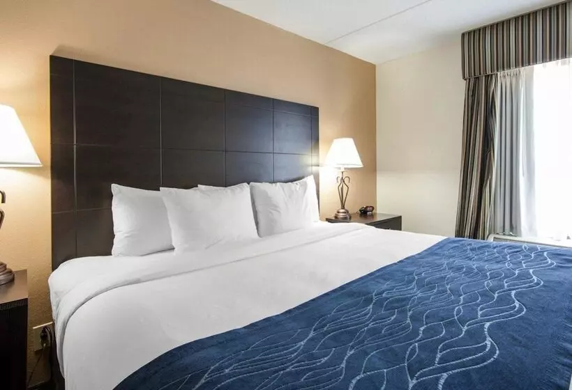 ２ダブルベッドのスタンダードルーム, Comfort Inn Oak Ridge  Knoxville