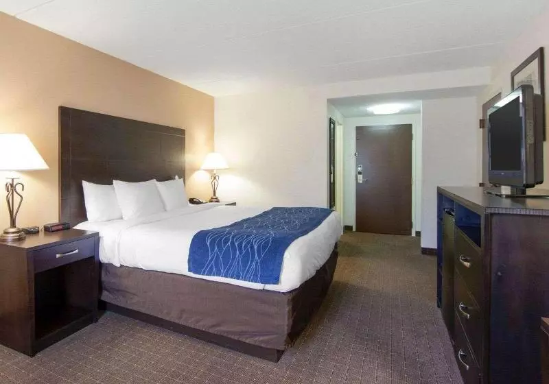キングサイズベッドのスタンダードルーム, Comfort Inn Oak Ridge  Knoxville