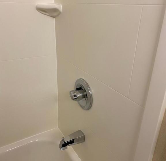 غرفه قياسيه سريرين مزدوجين, Comfort Inn Oak Ridge  Knoxville