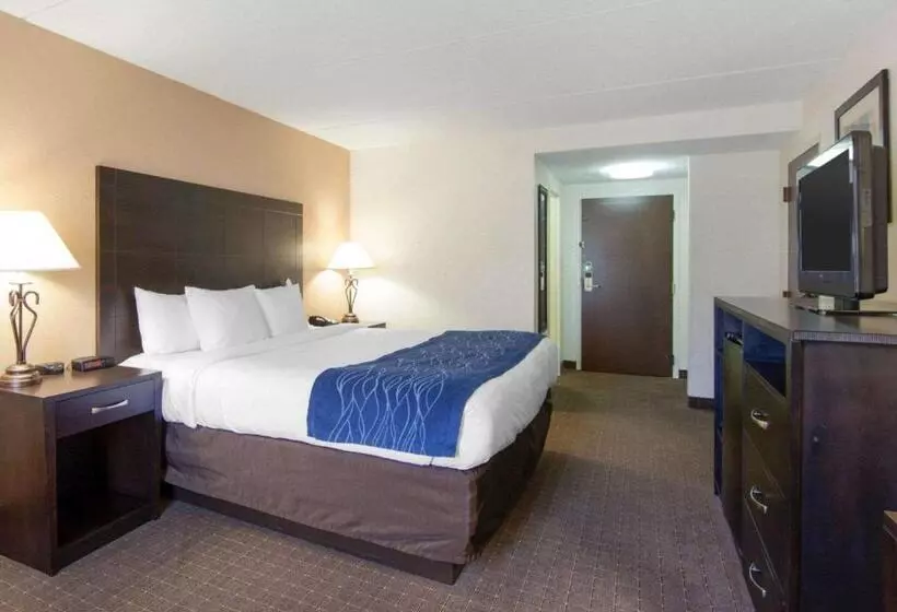 キングサイズベッドのスタンダードルーム, Comfort Inn Oak Ridge  Knoxville