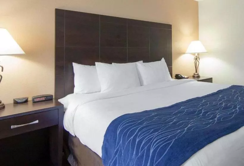 キングサイズベッドのスタンダードルーム, Comfort Inn Oak Ridge  Knoxville