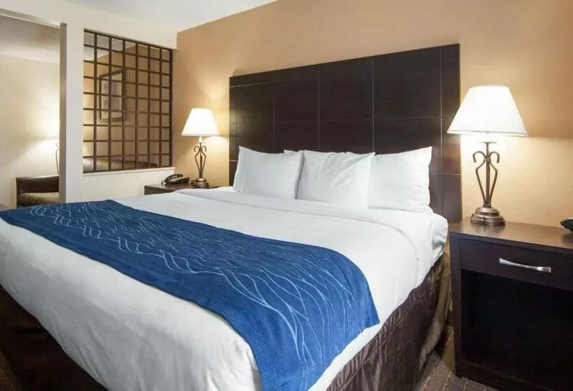 キングサイズベッドのスイートルーム, Comfort Inn Oak Ridge  Knoxville