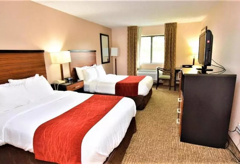 اتاق استاندارد با 2 تخت دوبل, Surestay Plus By Best Western Reading North