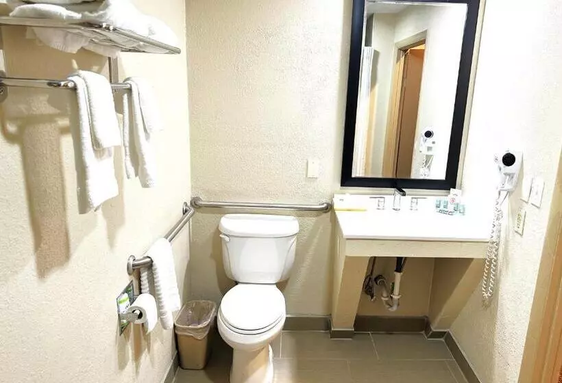 اتاق استاندارد با تخت بزرگ برای معلولان, Surestay Plus By Best Western Reading North
