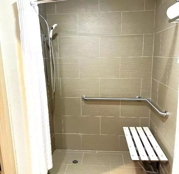 اتاق استاندارد با تخت بزرگ برای معلولان, Surestay Plus By Best Western Reading North