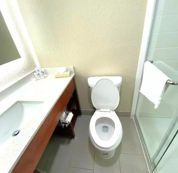 اتاق استاندارد با تخت بزرگ, Surestay Plus By Best Western Reading North