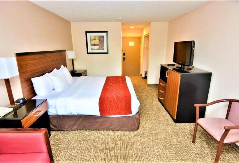 스탠다드 룸 킹사이즈 침대, Surestay Plus By Best Western Reading North