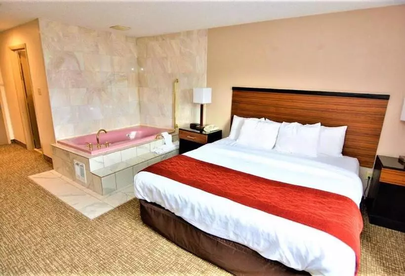 سوئیت با تخت بزرگ, Surestay Plus By Best Western Reading North