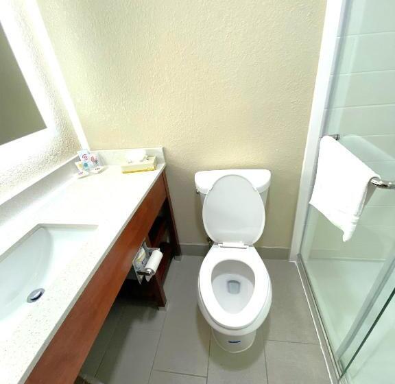 جناح سرير كينج, Surestay Plus By Best Western Reading North