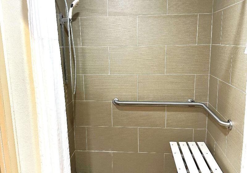 장애인을 위한 킹사이즈 침대 스탠다드 룸, Surestay Plus By Best Western Reading North