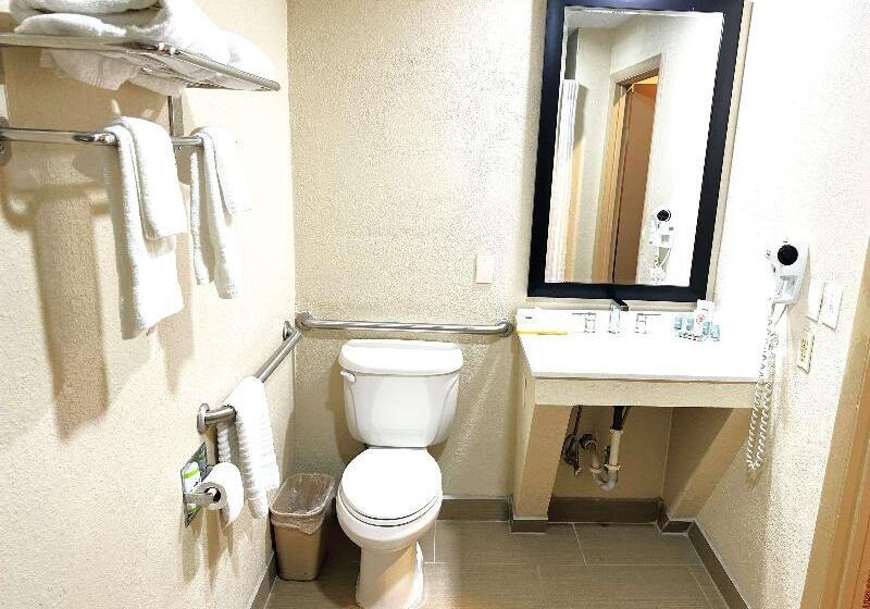 غرفة قياسية سرير كينج لذوى الإحتياجات الخاصة, Surestay Plus By Best Western Reading North