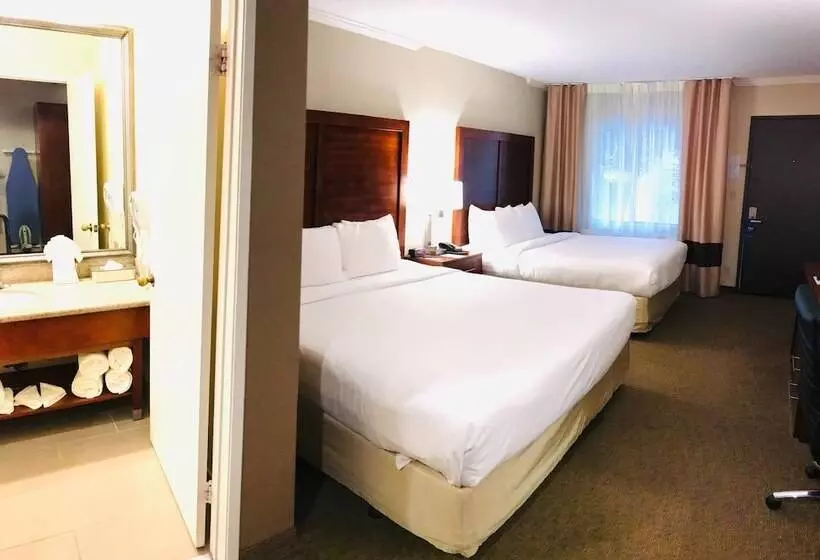 اتاق استاندارد, Comfort Inn Santa Monica West Los Angeles