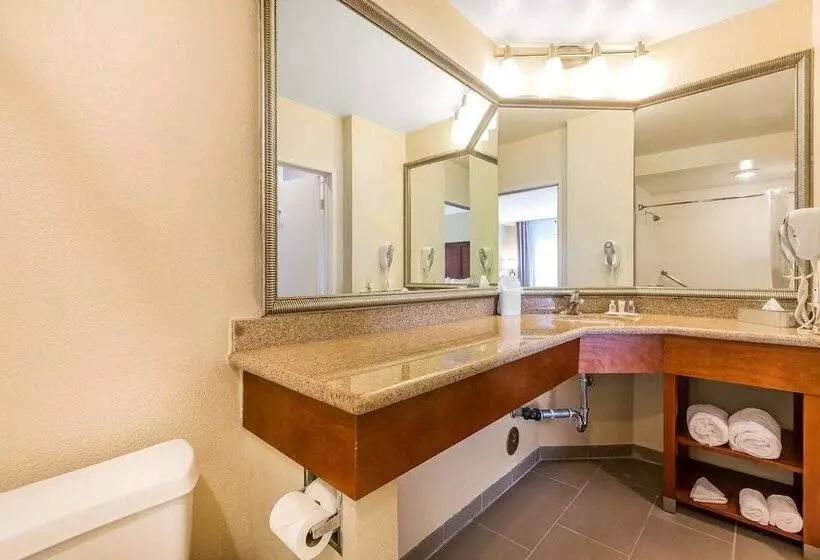 اتاق استاندارد, Comfort Inn Santa Monica West Los Angeles