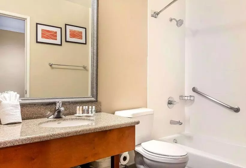 اتاق استاندارد, Comfort Inn Santa Monica West Los Angeles