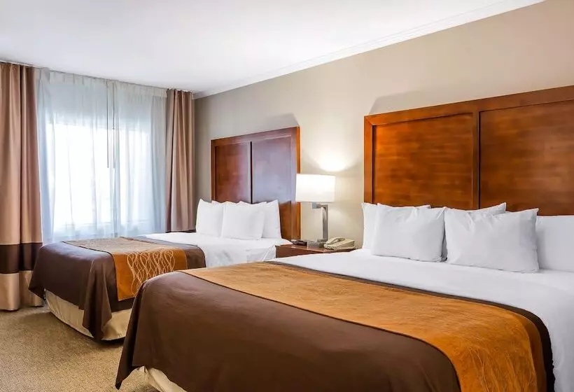 اتاق استاندارد, Comfort Inn Santa Monica West Los Angeles