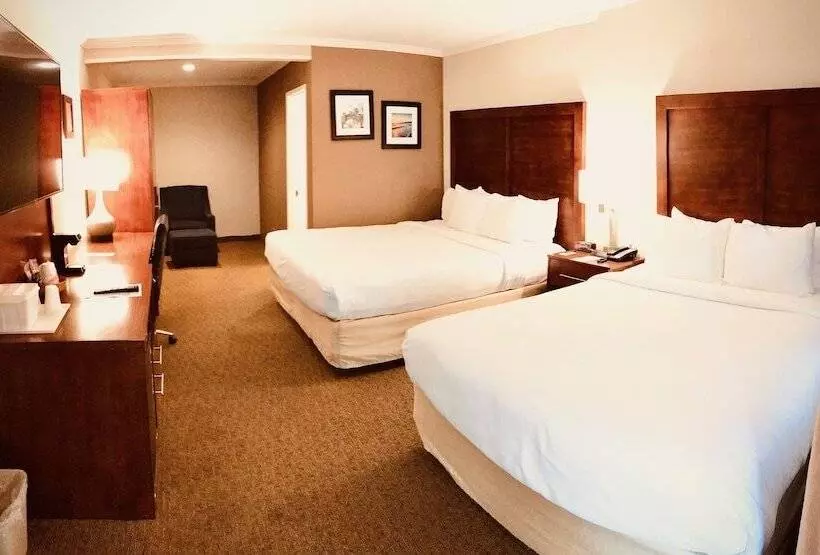 اتاق استاندارد, Comfort Inn Santa Monica West Los Angeles