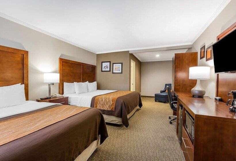 スタンダードルーム, Comfort Inn Santa Monica  West Los Angeles