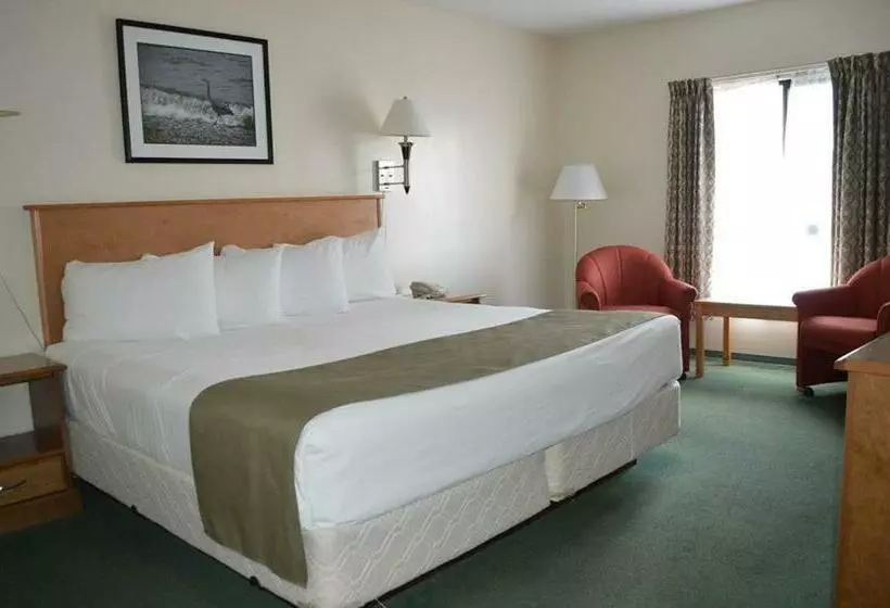 Standard-huone King-vuode, Driftwood Inn