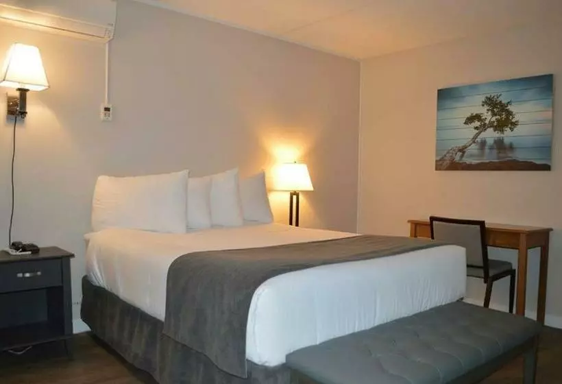 Perhesviitti, Driftwood Inn