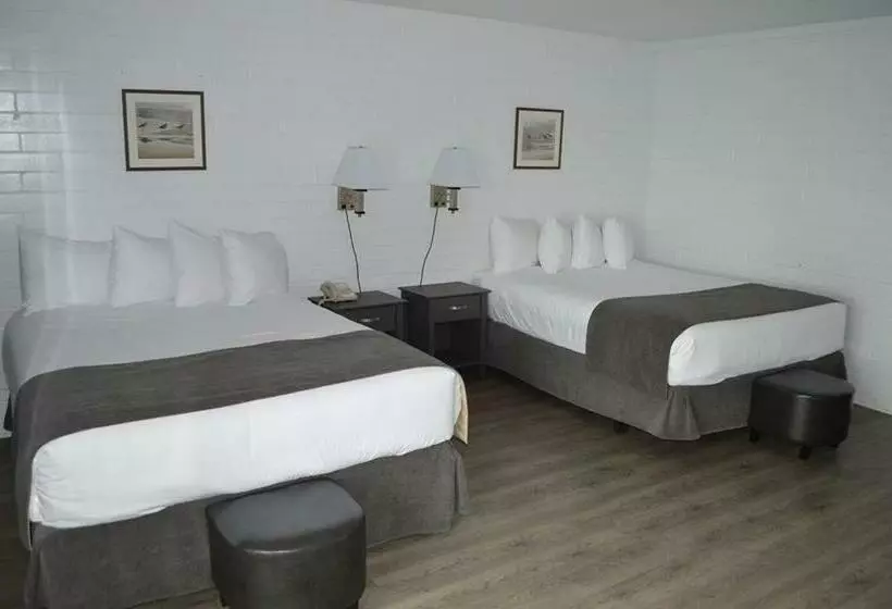 Sviitti Merinäkymä, Driftwood Inn