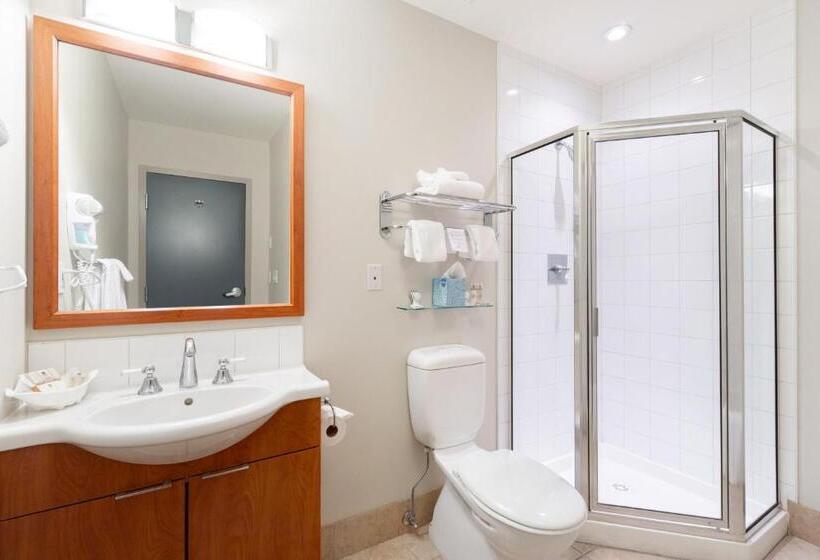 스탠다드 스튜디오 킹침대, Ocean Promenade