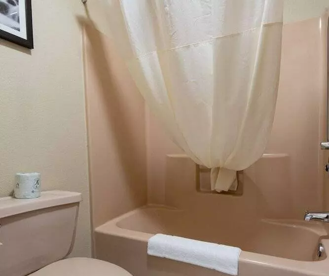 ２ダブルベッドのスタンダードルーム, Quality Inn & Suites Quakertown Allentown