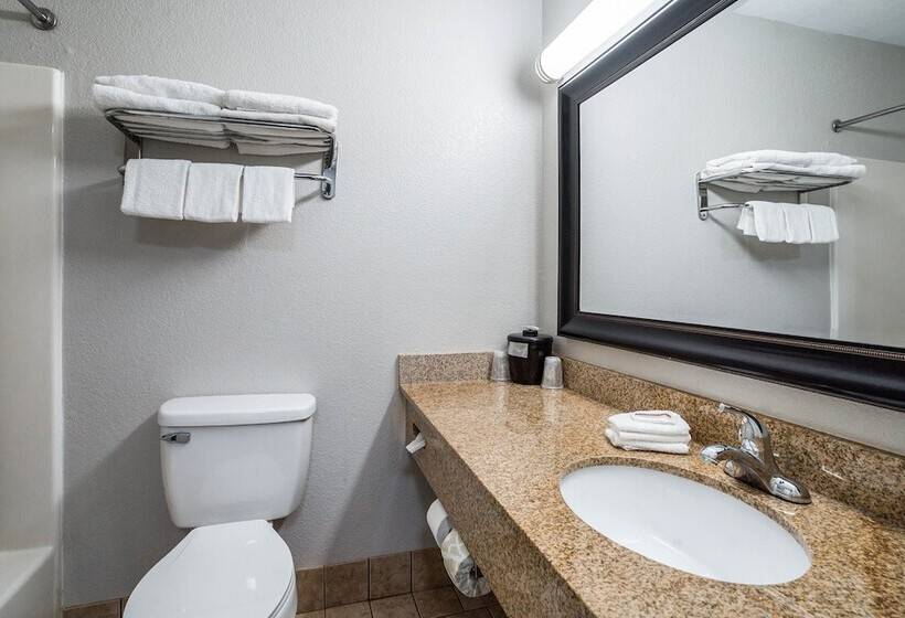 デラックスルーム, Red Roof Inn Spartanburg   I 26